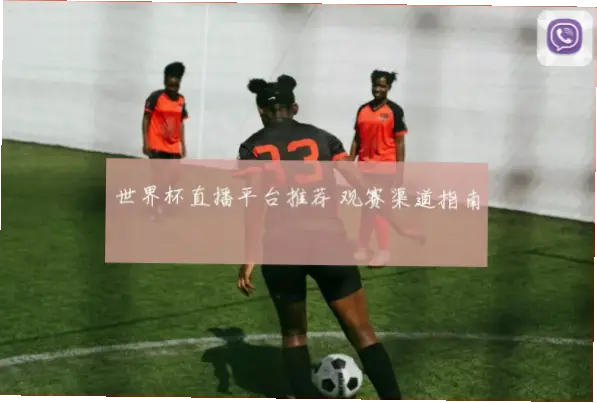 世界杯 直播｜世界杯直播免费平台推荐指南