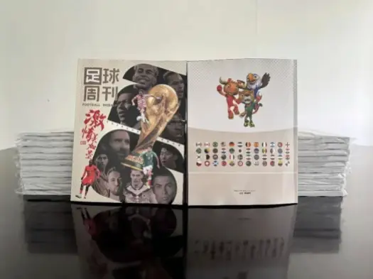 爱看球 vs 凑热闹：真正球迷的观赛指南